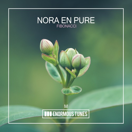 Nora En Pure